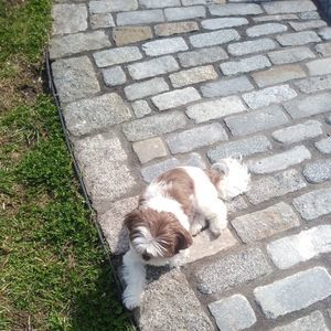 Meet your Posher, Maryann